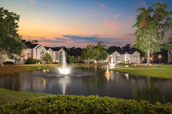 Pond view